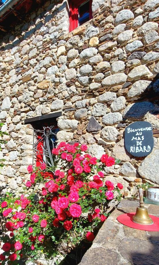 Le Mas De Ribard Bréau-et-Salagosse 외부 사진